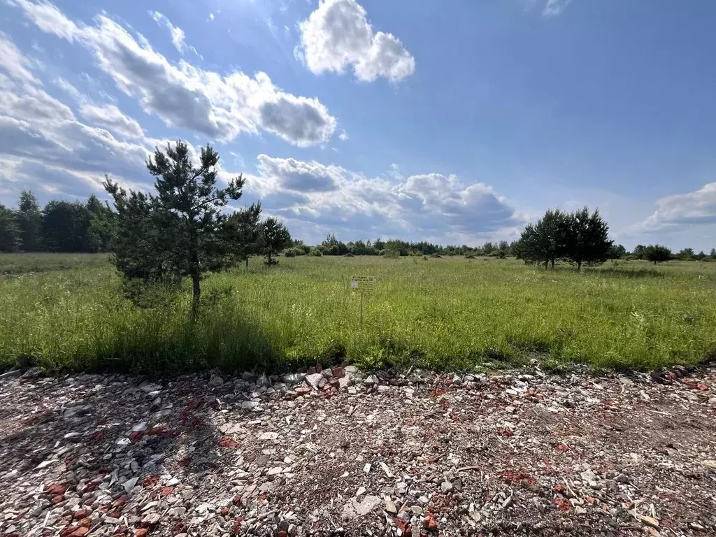 Участок в Московская область, Богородский городской округ, Следово кп ... - Фото 1