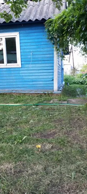 Участок в Новгородская область, Новгородский район, Панковское ... - Фото 2