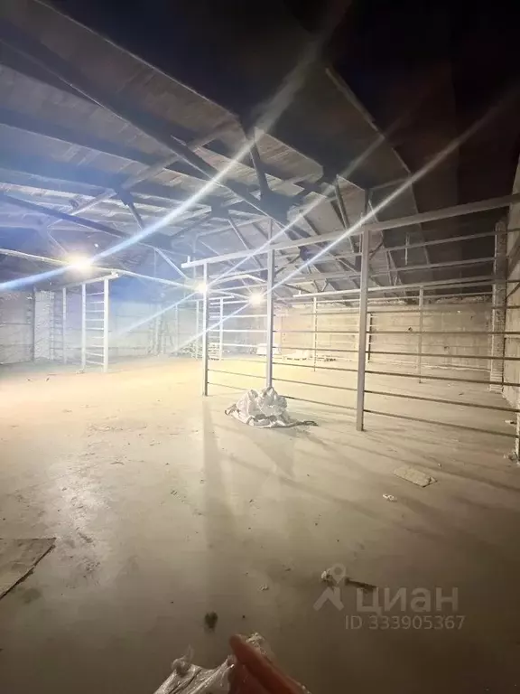 Помещение свободного назначения в Ленинградская область, Коммунар ... - Фото 1
