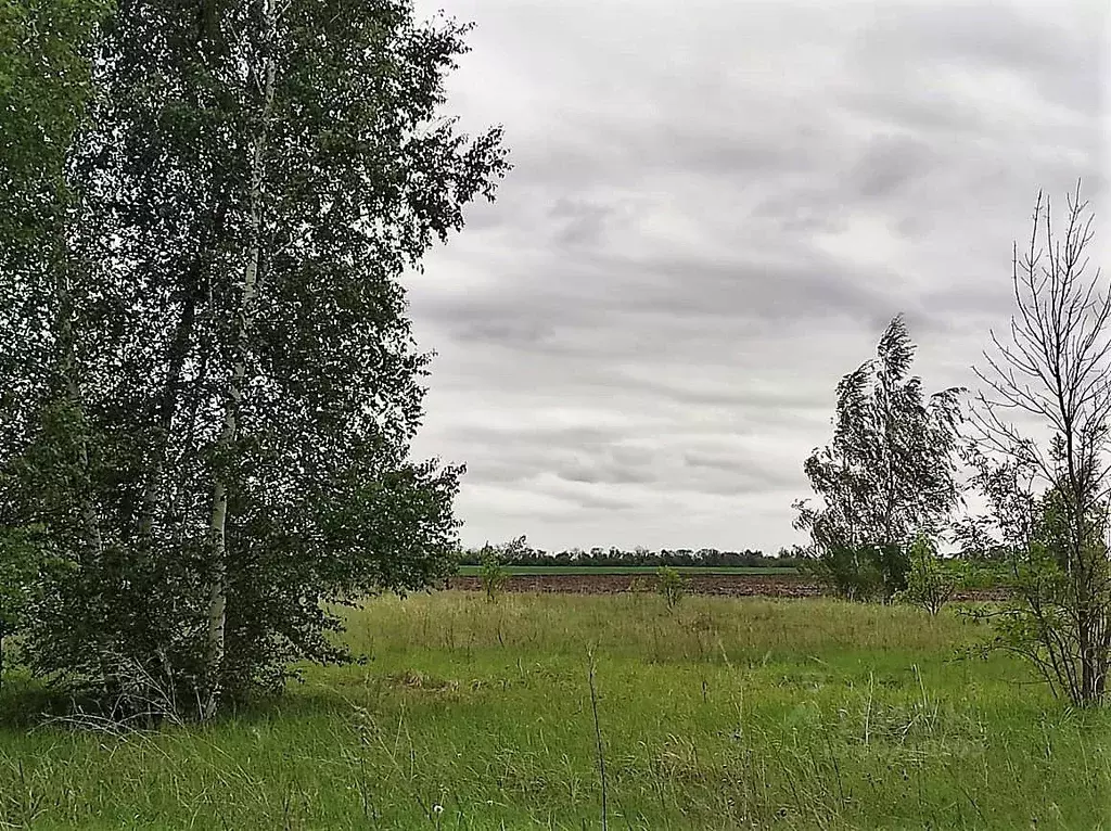 Аннино липецкая. Село аннино грязи магазины. Сошки липецк. Аннино липецкая. Аннино липецкая.