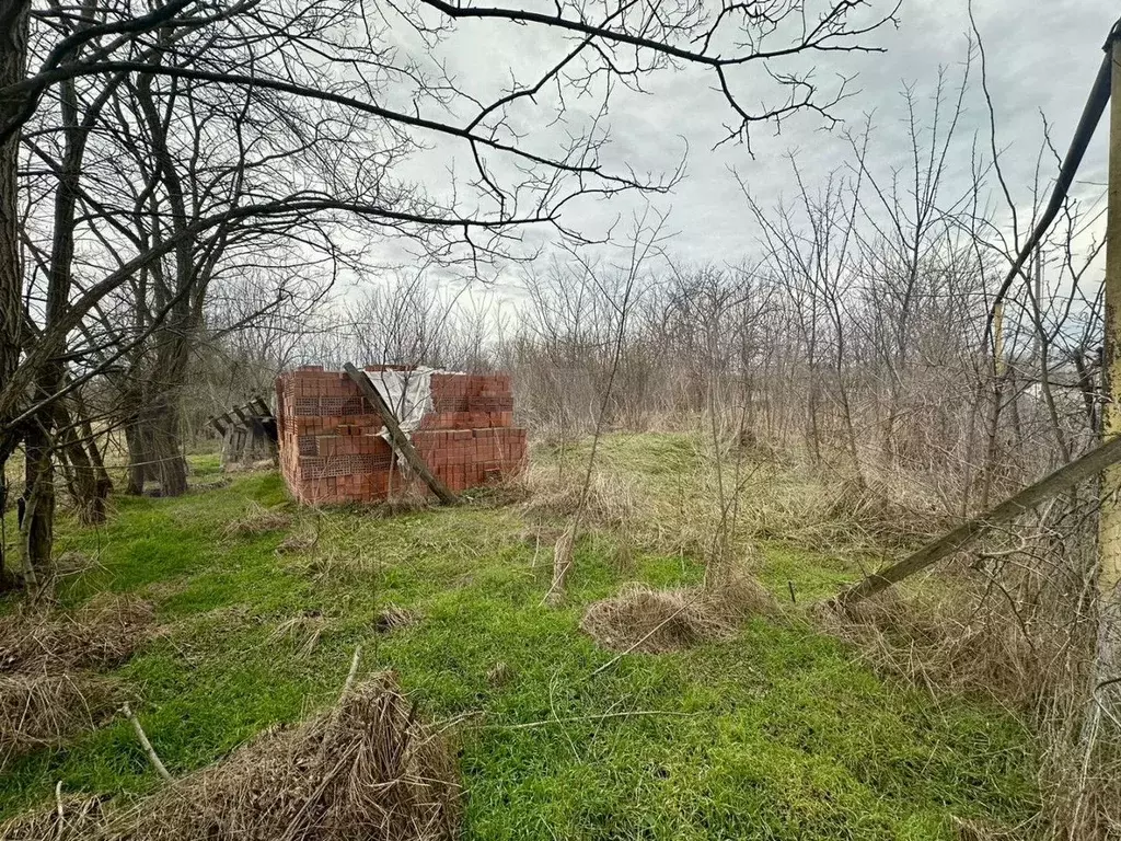 Участок 25 сот. (ИЖС) - Фото 1