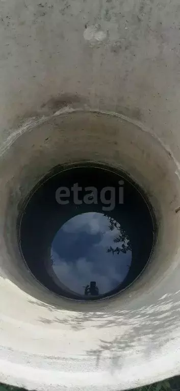 Участок в Вологодская область, Синица садоводческое товарищество  ... - Фото 2