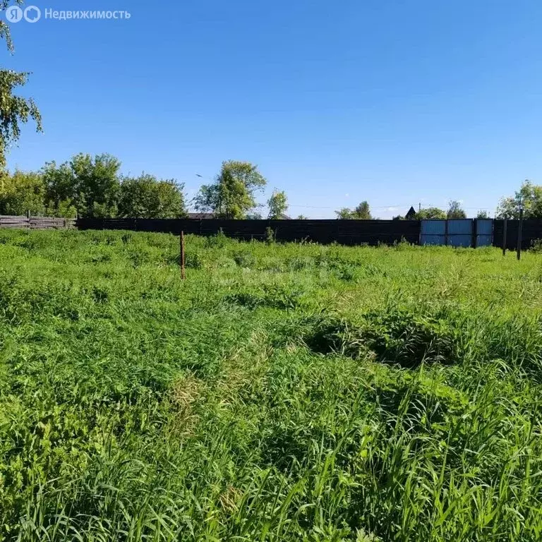 Дом в муниципальный округ Омский район, СНТ Зелёная Падь (36 м) - Фото 2