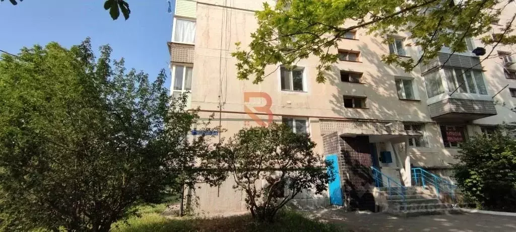 1-к кв. Севастополь ул. Генерала Жидилова, 32 (34.8 м) - Фото 0