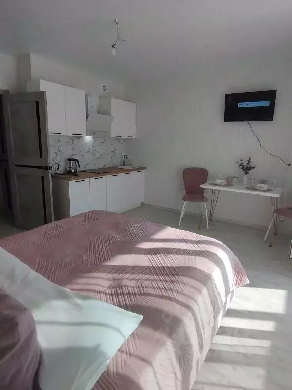 1-к кв. Челябинская область, Сосновский муниципальный округ, д. ... - Фото 2