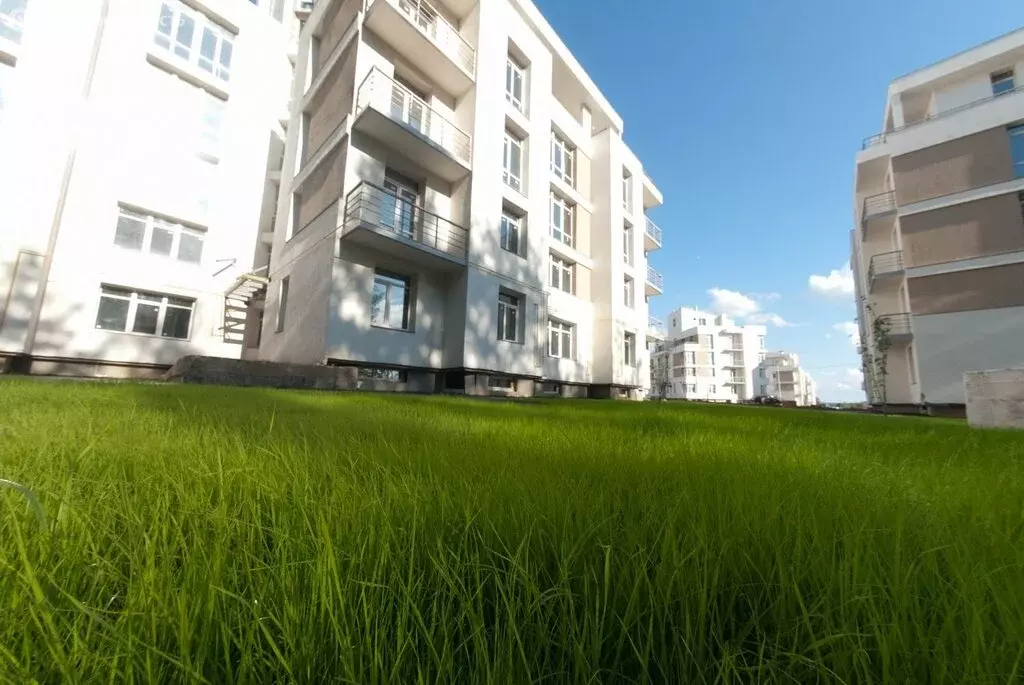 1-комнатная квартира: деревня Аристово, Светлая улица, 23 (44 м) - Фото 2