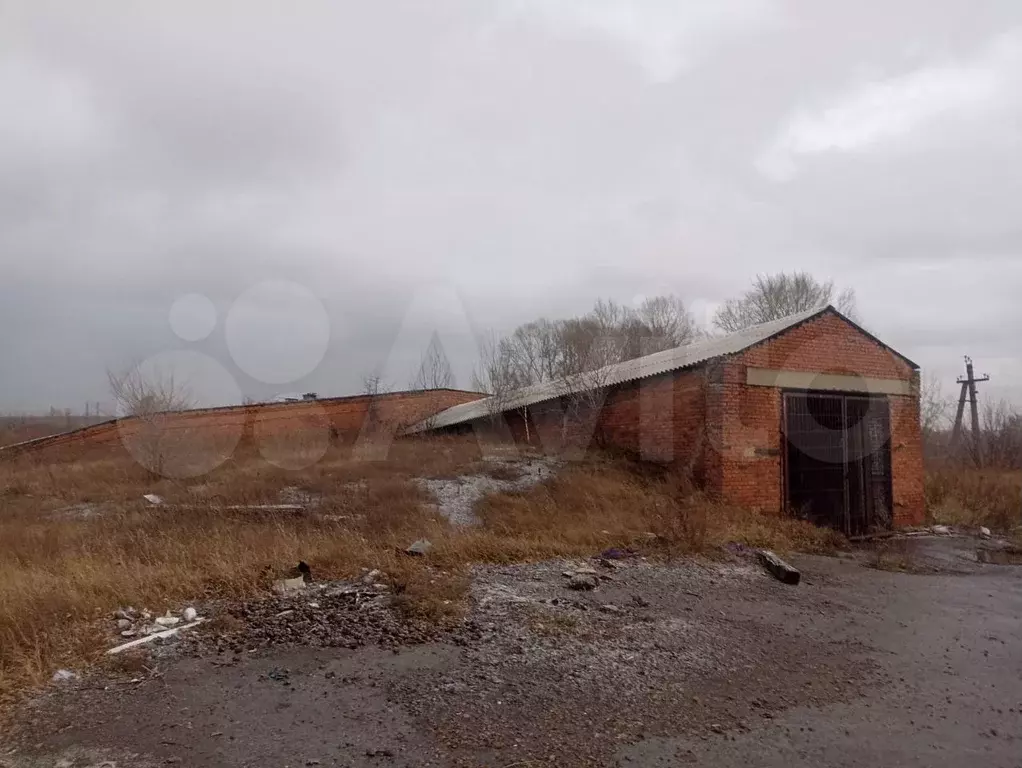 Склад, 2495.2 м, Земельный участок 6888 м2 - Фото 1