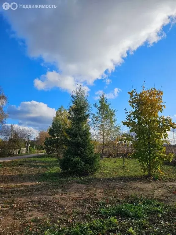 Участок в село Братовщина, территория Братошино, 166 (7.1 м) - Фото 1