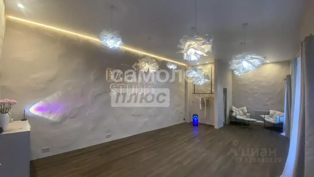 Помещение свободного назначения в Санкт-Петербург пер. Пирогова, 17 ... - Фото 1
