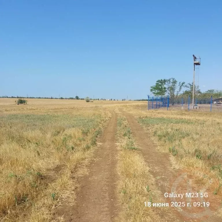 Участок в Крым, Черноморский район, с. Новоивановка  (4.0 сот.) - Фото 1