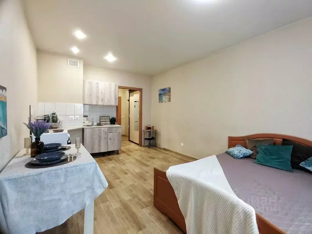 Студия Новосибирская область, Новосибирск Красный просп., 311 (26.8 м) - Фото 0