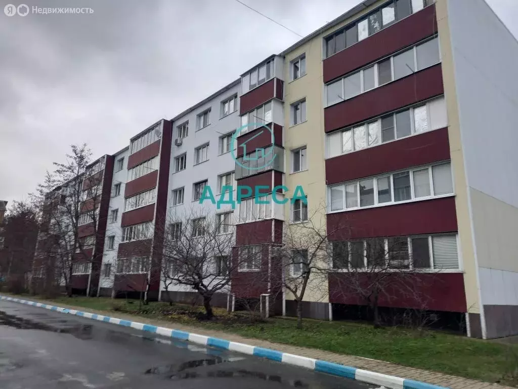 1-комнатная квартира: Новый Оскол, Дорожная улица, 1 (28.3 м) - Фото 1