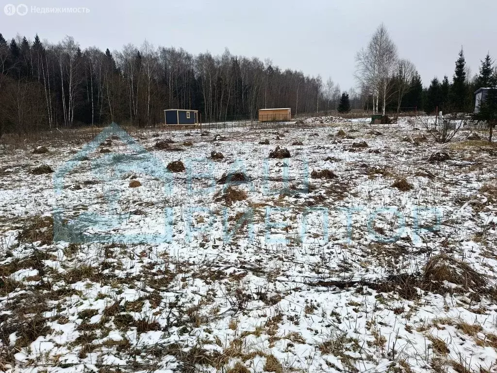 Участок в Калужская область, Боровский муниципальный округ, деревня ... - Фото 2