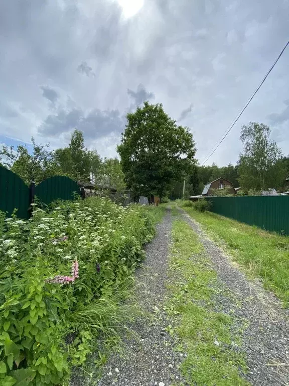 Участок в Московская область, Раменский муниципальный округ, Тишина ... - Фото 1