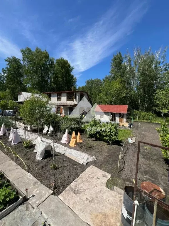 Дом в Алтайский край, Павловский район, Урожайное СНТ ул. 9-я (82 м) - Фото 2
