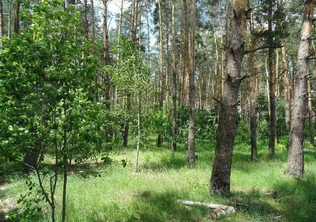 Участок в Московская область, Люберцы городской округ, Октябрьский пгт ... - Фото 0