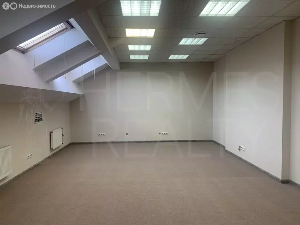 Офис (58.5 м) - Фото 2