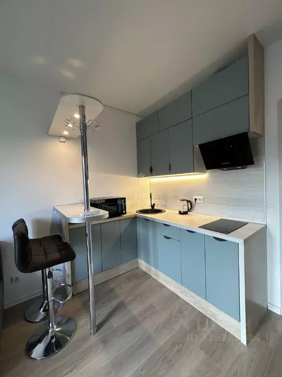 Студия Москва Лобненская ул., 13к3 (19.6 м) - Фото 2