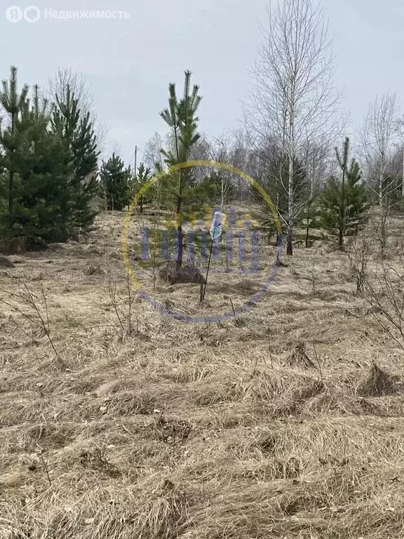 Участок в Челябинская область, Красноармейский муниципальный округ, ... - Фото 2