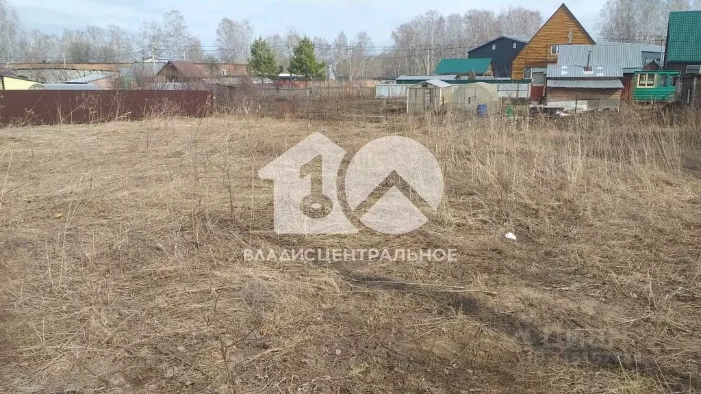 Участок в Новосибирская область, Новосибирский район, Раздольненский ... - Фото 0