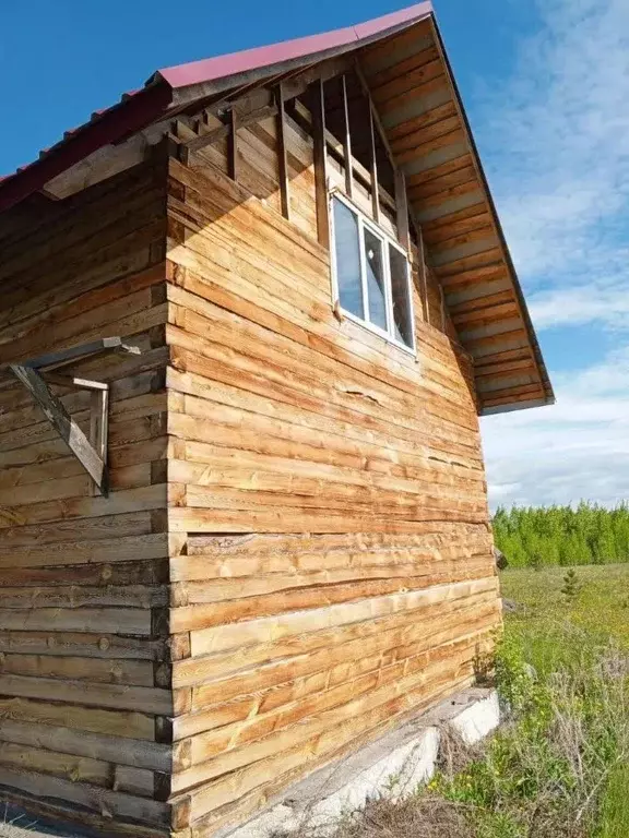 Дом в Тюменская область, Ялуторовский муниципальный округ, с. Киева ... - Фото 1