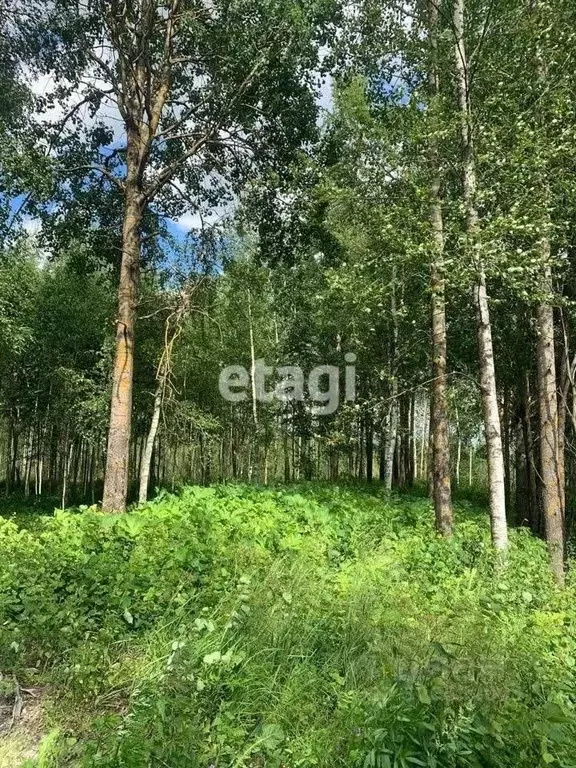 Участок в Санкт-Петербург, Санкт-Петербург, Павловск Павлов Скай кп,  ... - Фото 1