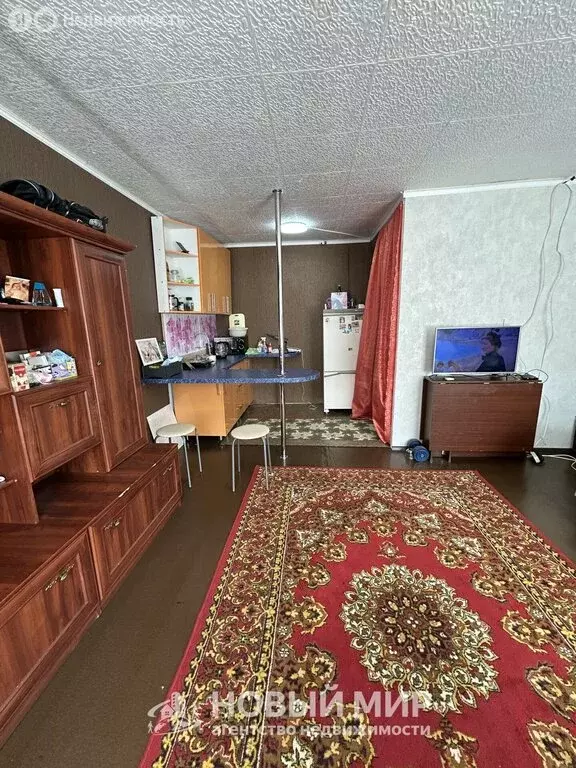Квартира-студия: Бор, улица Чугунова, 13 (24.1 м) - Фото 2