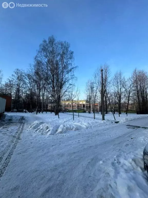 Помещение свободного назначения (51.6 м) - Фото 1