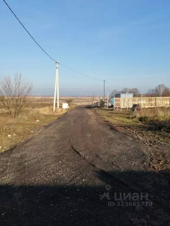 Участок в Московская область, Раменский муниципальный округ, д. ... - Фото 1