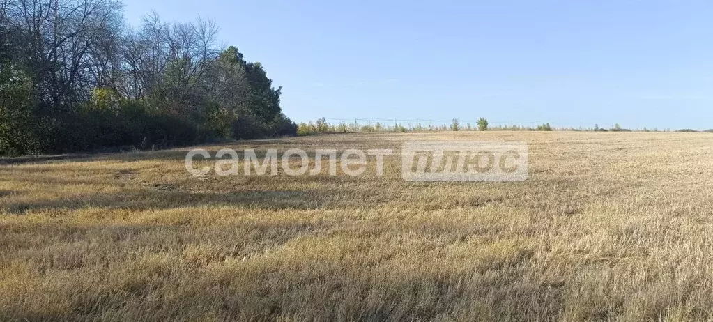 Участок в Белгородская область, Белгородский муниципальный округ, с. ... - Фото 2