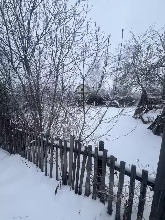 Участок в Омская область, Омский район, Андреевское с/пос, Нефтяник-2 ... - Фото 2