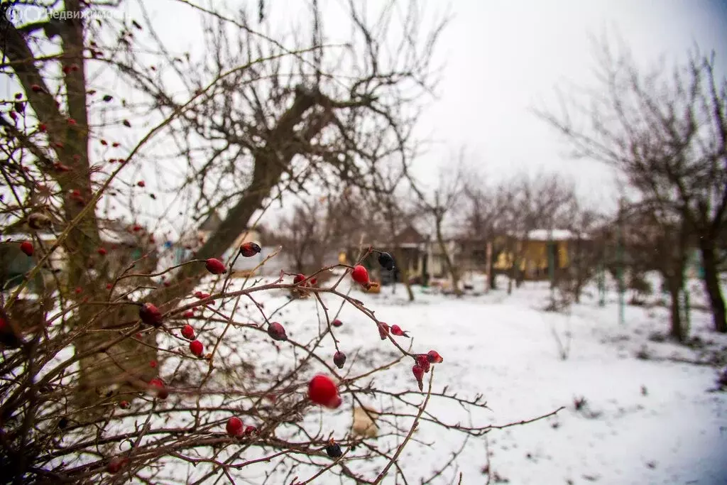 Дом в Волжский, СНТ Цветущий Сад, Каштановая улица, 82 (6 м) - Фото 1