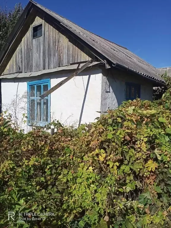 Дом в Белгородская область, Белгородский район, Беломестненское с/пос, ... - Фото 0