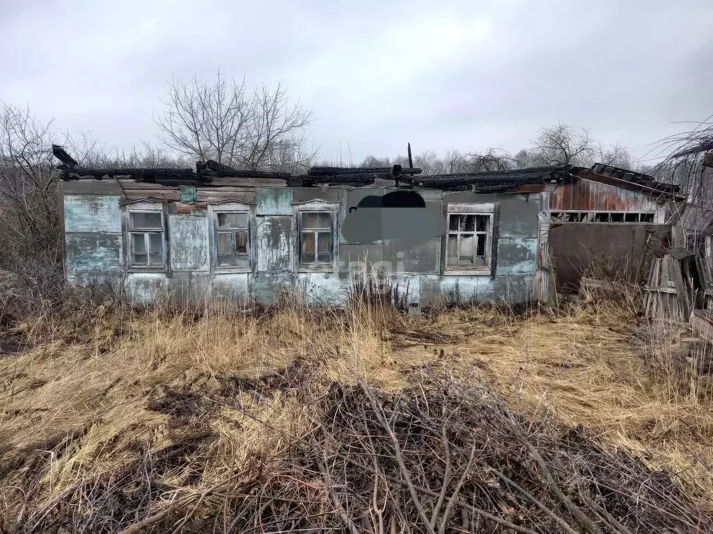 Участок в Брянская область, Фокино ул. Пушкина (25.5 сот.) - Фото 1