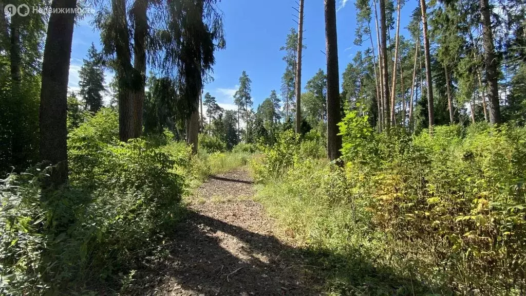 Участок в посёлок Горки-10, 21 (412.1 м) - Фото 1