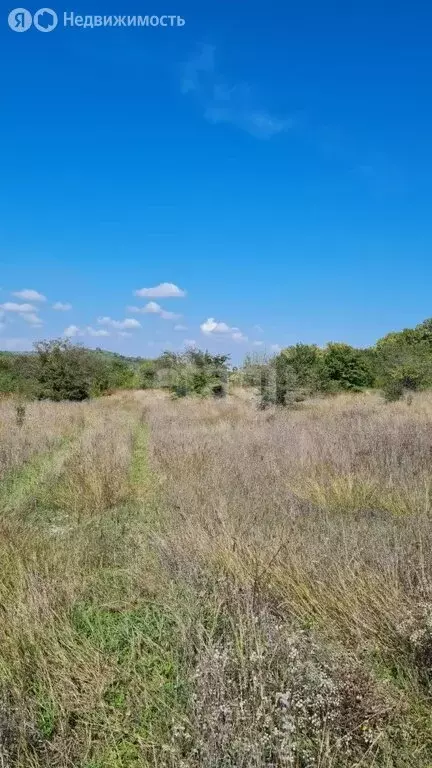 Участок в Крымский район, Нижнебаканское сельское поселение, станица ... - Фото 2