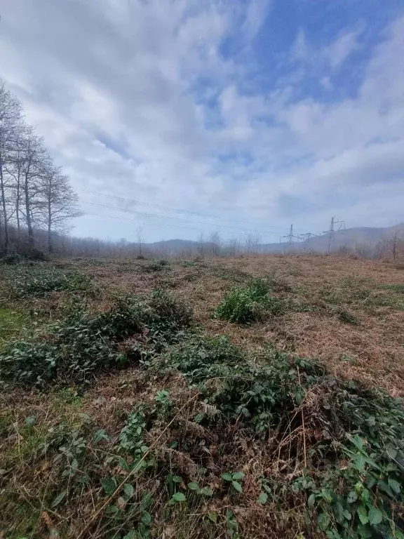 Участок в Краснодарский край, Сочи Монолит СТ, 10 (4.7 сот.) - Фото 1