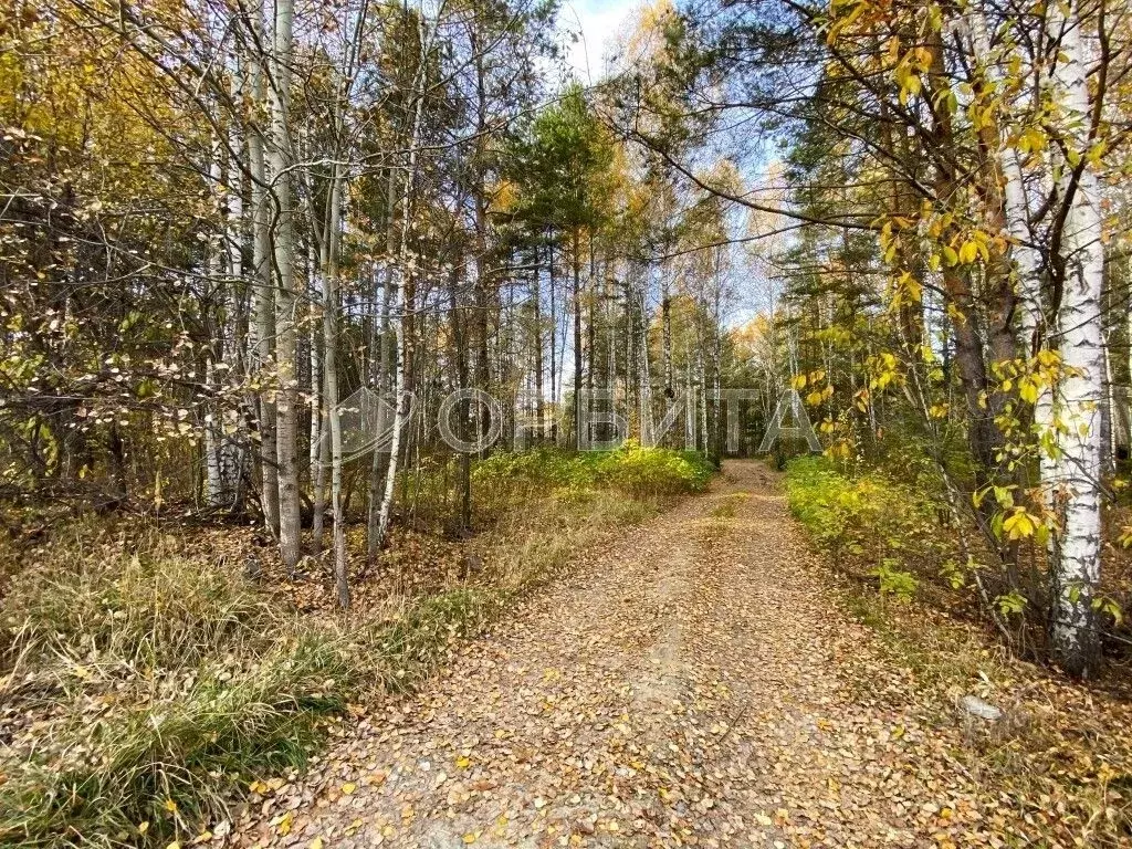 Участок в Тюменская область, Тюменский муниципальный округ, Боровский ... - Фото 2