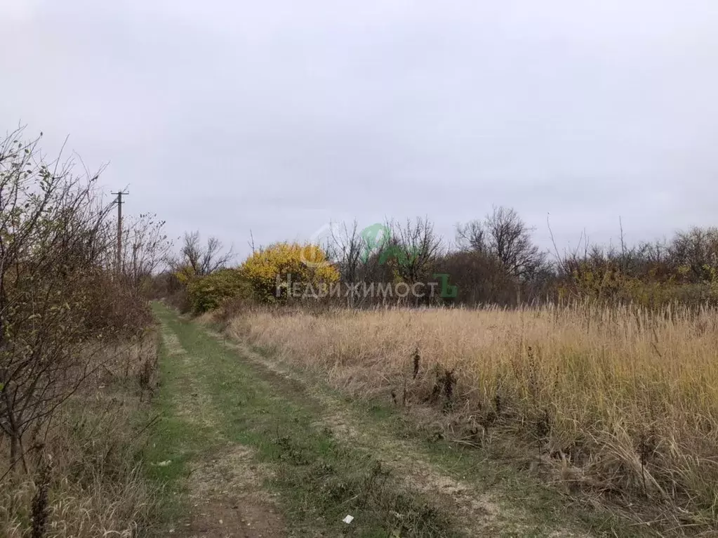 Участок в Краснодарский край, Ейское городское поселение, пос. ... - Фото 0