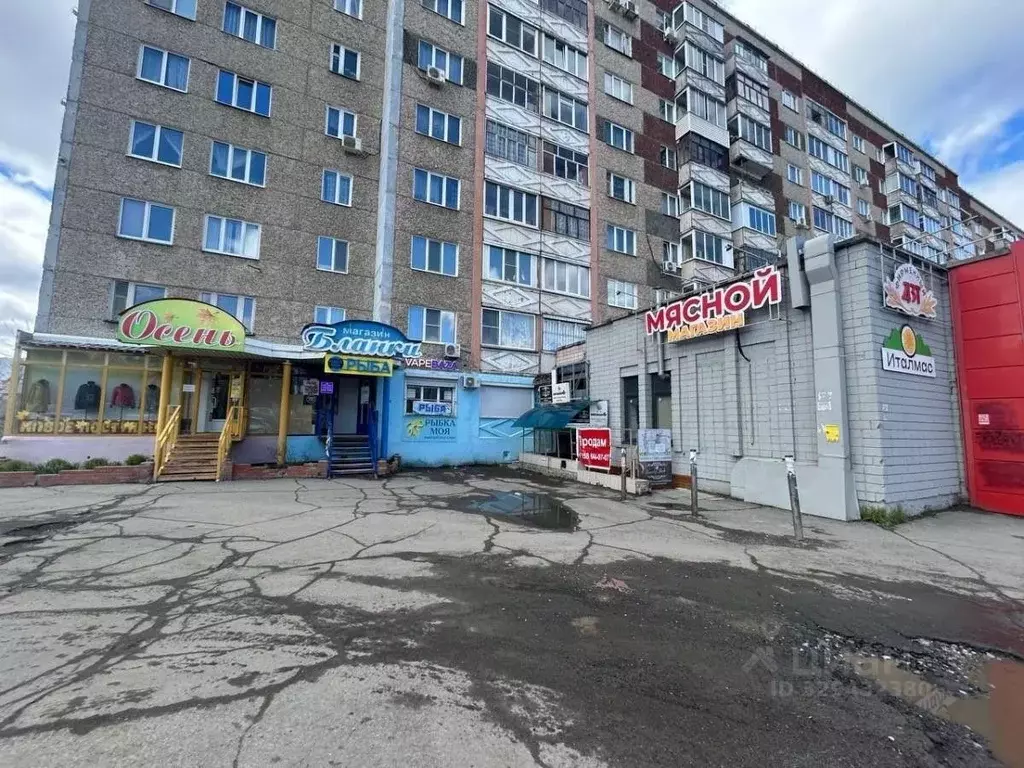 Помещение свободного назначения в Удмуртия, Ижевск Удмуртская ул., ... - Фото 1