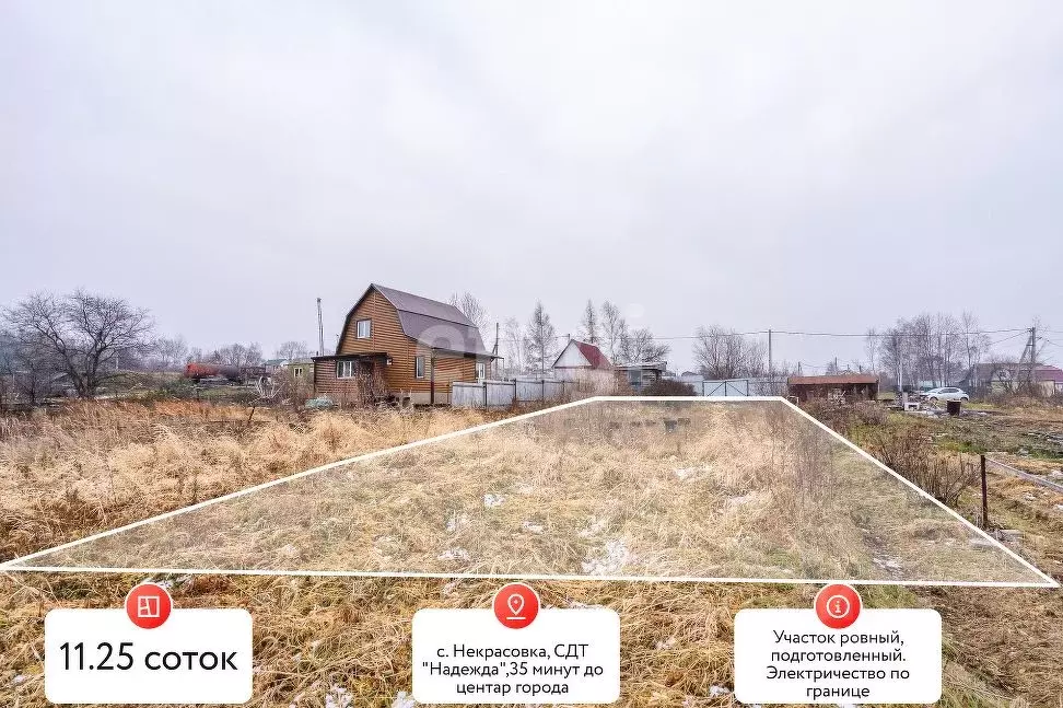 Участок в Хабаровский край, Хабаровский район, с. Некрасовка  (10.0 ... - Фото 1