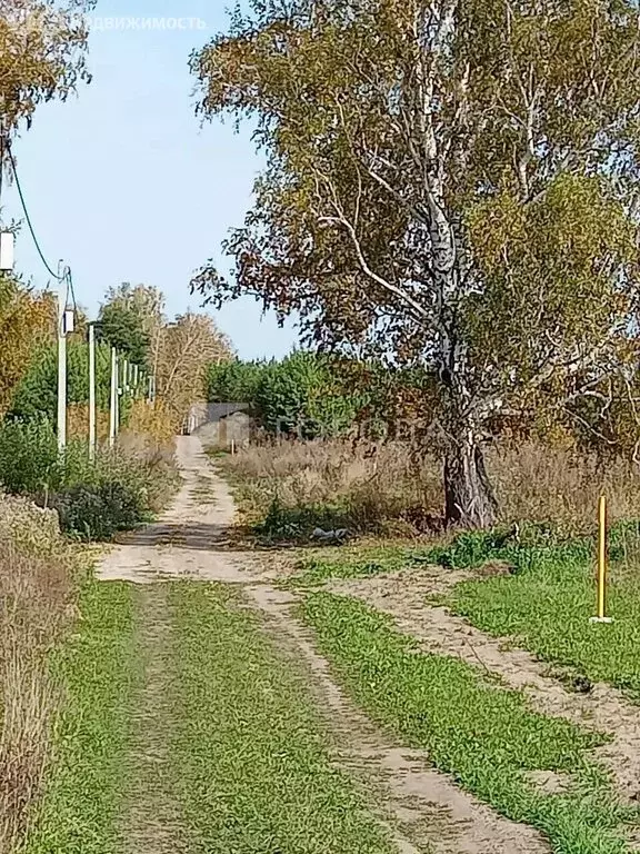 Дом в Алтайский край, городской округ Барнаул, посёлок Ягодное, ... - Фото 2