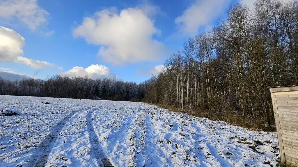 Участок, 8 сот., поселения (ижс) - Фото 2