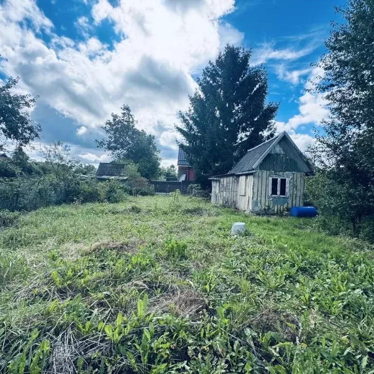 Участок в Калининградская область, Калининград Пчелка СТ, проезд 17-й ... - Фото 1