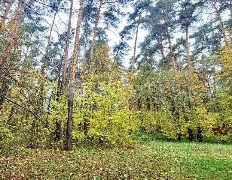 Участок в Московская область, Ленинский городской округ, д. Жабкино  ... - Фото 0