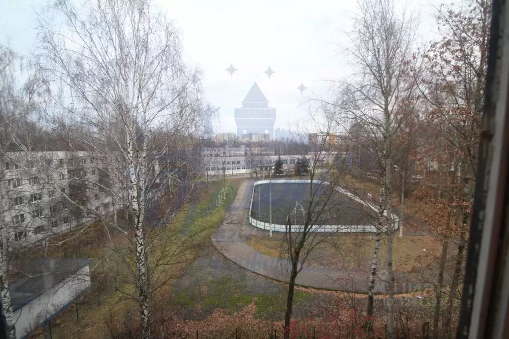 2-к кв. Нижегородская область, Нижний Новгород Кузнечиха жилрайон, ул. ... - Фото 2