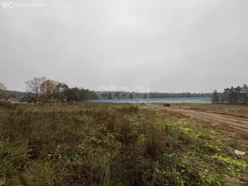 Участок в Одинцовский городской округ, село Жаворонки (6.49 м) - Фото 0