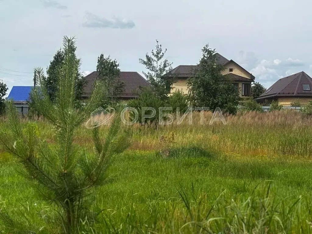 Участок в Тюменская область, Тюменский муниципальный округ, д. ... - Фото 2