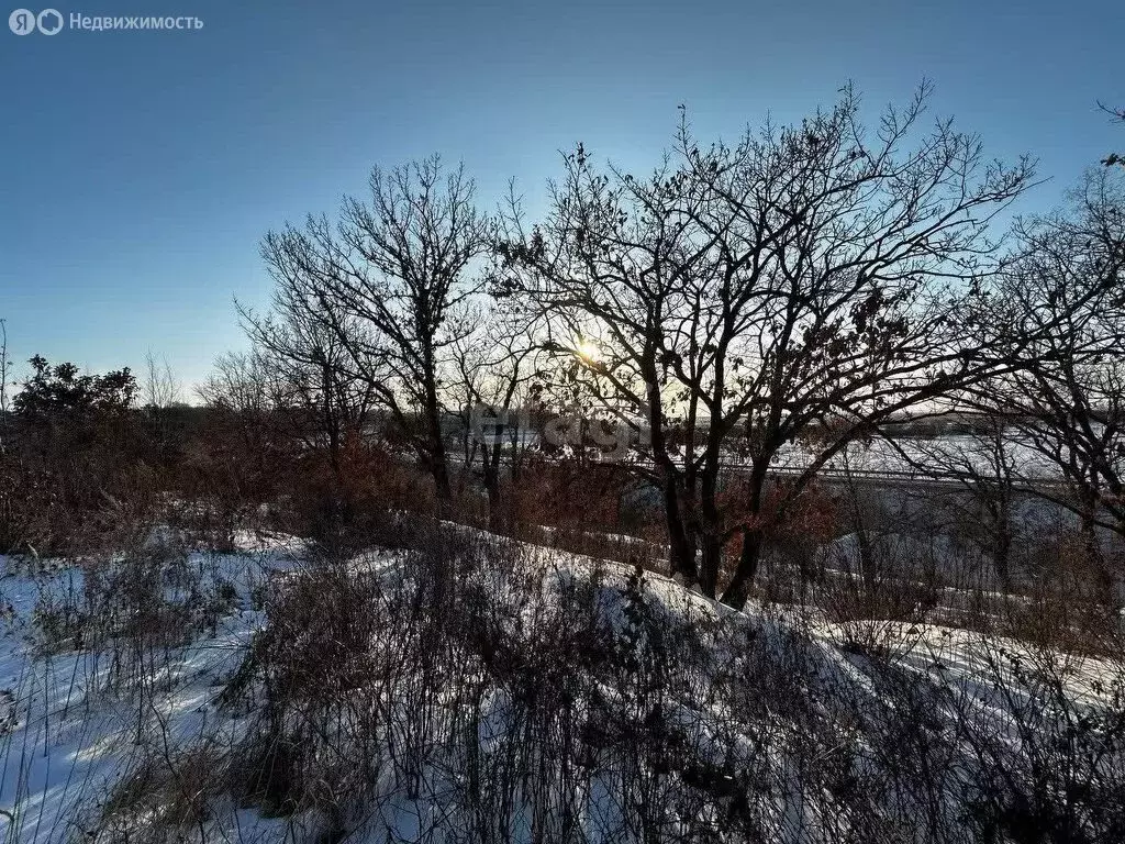 Участок в Амурская область, Благовещенский муниципальный округ, село ... - Фото 1