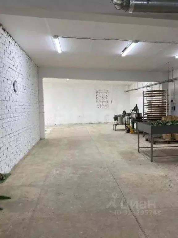 Помещение свободного назначения в Ярославская область, Борисоглебский ... - Фото 0